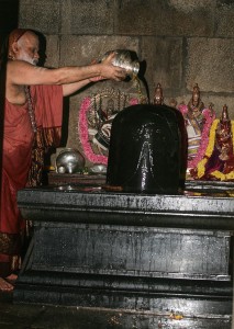 Mahasannidhanam performs Malahanikareshwara Swamy Puja on Mahashivaratri 07 March 2016
